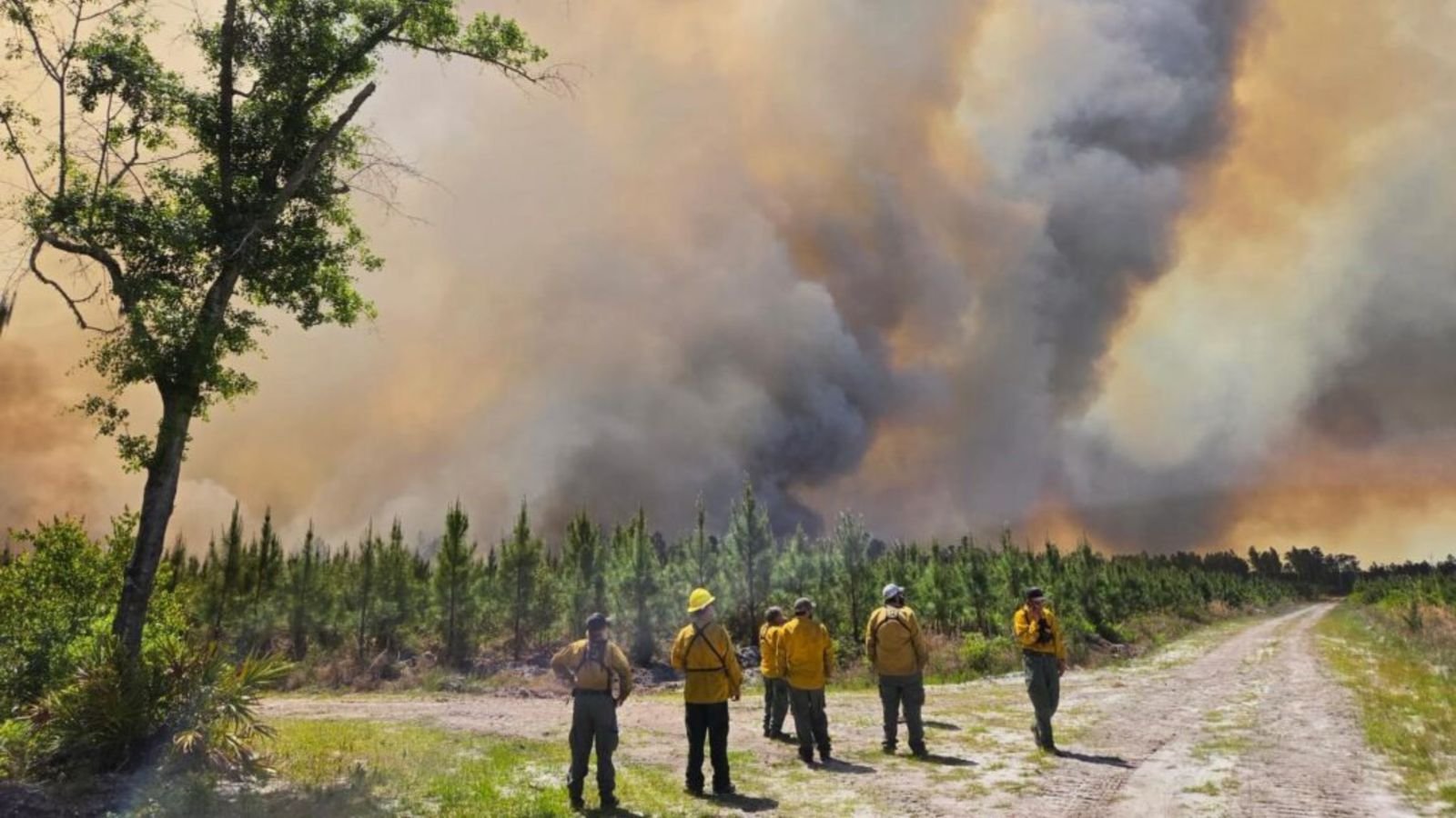 apos-oracoes,-chuva-ajuda-a-conter-incendio-florestal-na-georgia:-foi-uma-bencao